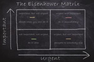 Oswaldo Karam Maciá | El arte de decidir: Estrategias de priorización para el éxito ejecutivo
