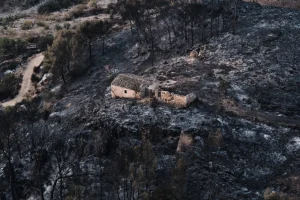 Al menos 12 muertos en combate contra incendios forestales al sur de España