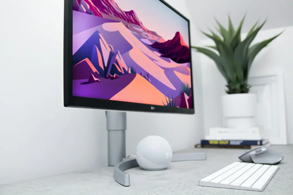 Monitor LG