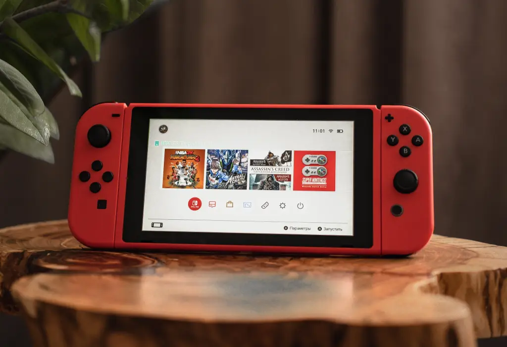 Nintendo Switch 2, Flash Cart